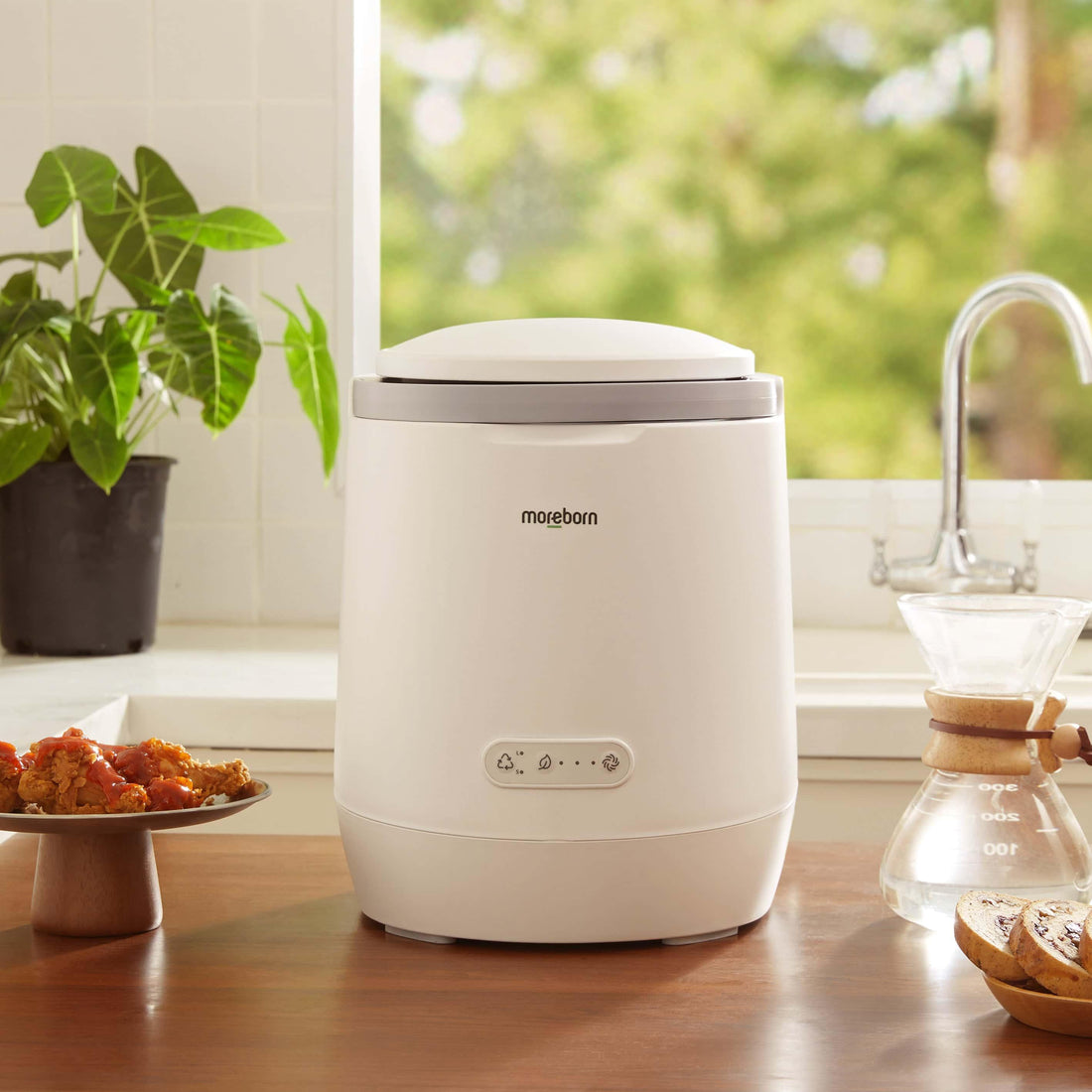 Is the Moreborn Food Recycler Mb4 Worth the Price Pros and Cons Explained