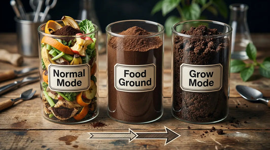 Garbage disposal unit under sink compared to Moreborn countertop electric composter — kitchen waste disposal comparison