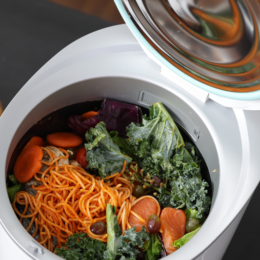 Reencle vs Moreborn: Korean vs American Electric Composter Showdown