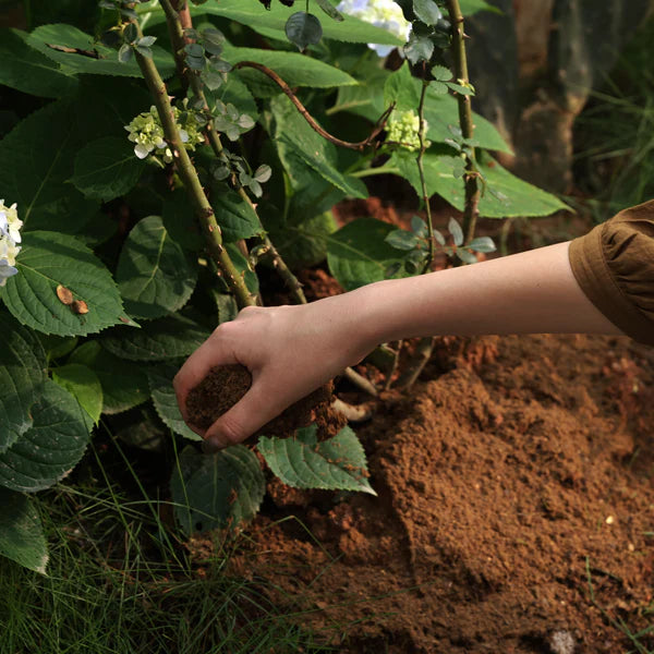 Why Peeing Can Help Your Compost (Yes, Really)