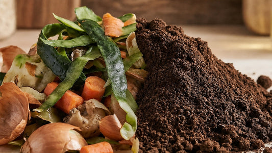 Kitchen food scraps beside processed brown material for method comparison