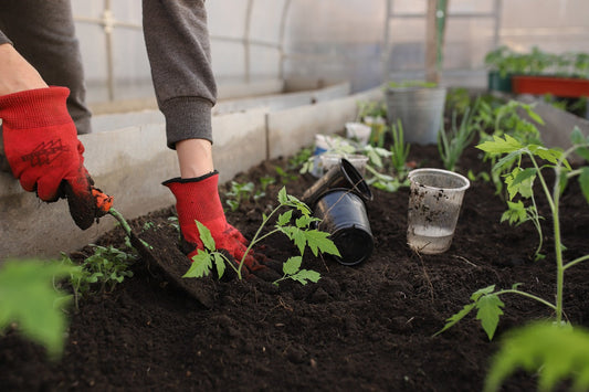 The Ultimate 2025 Guide to Using Food Grounds as Organic Fertilizer 🌿