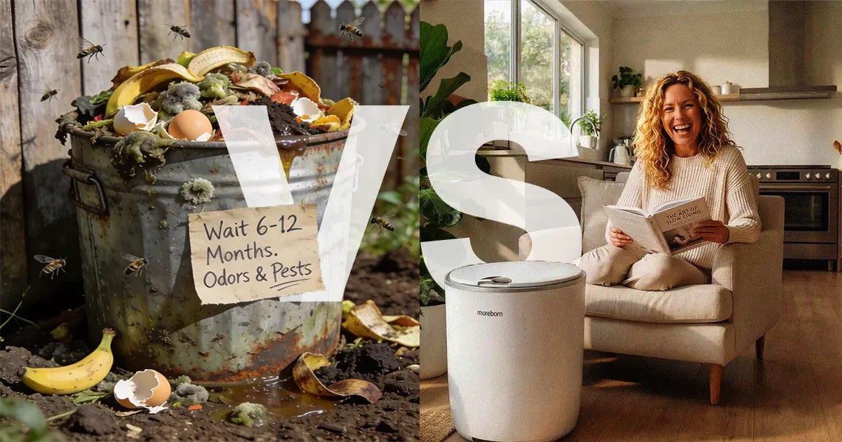 How to Reduce Food Waste at Home: 12 Practical Tips – moreborn