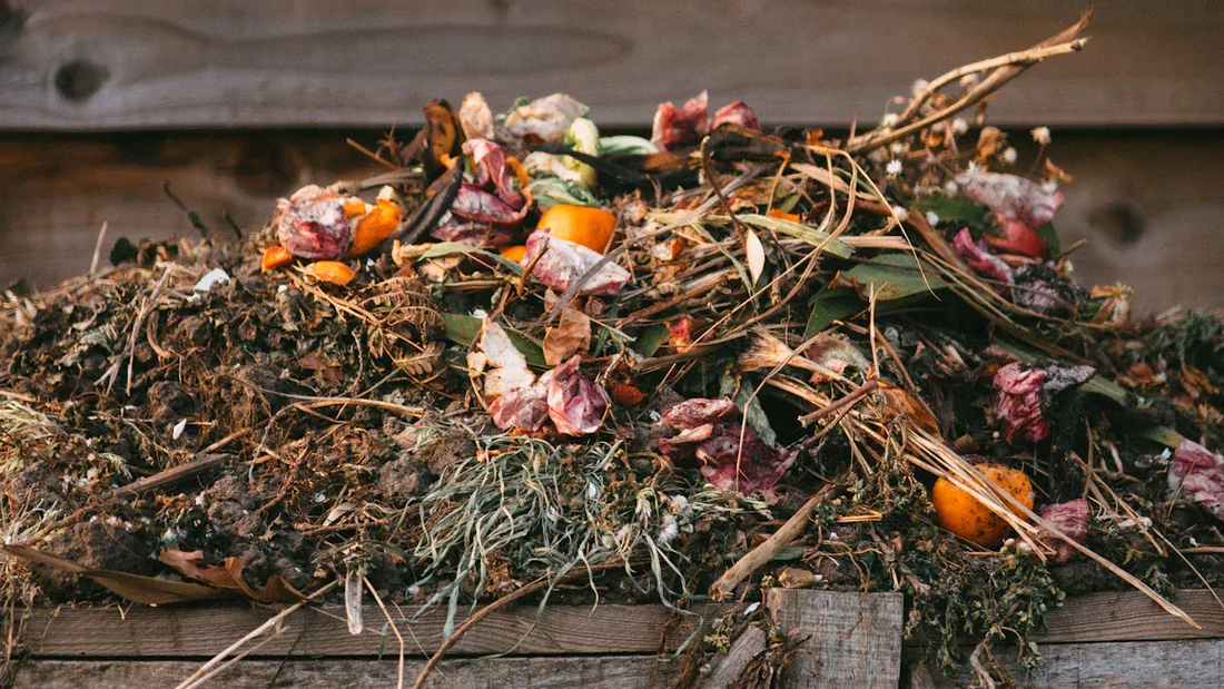 Starting-Home-Composting