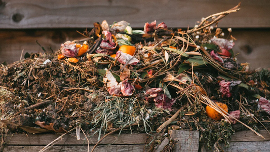 Starting-Home-Composting