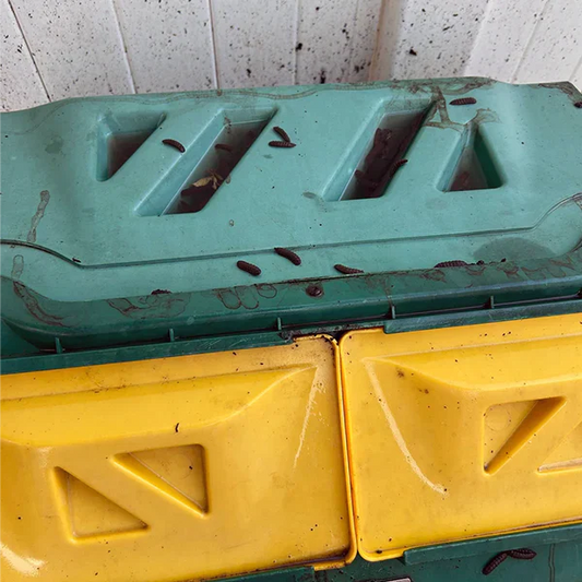 A sleek and modern electronic composting machine on a kitchen countertop with food scraps and vibrant indoor plants, showcasing eco-friendly waste management.
