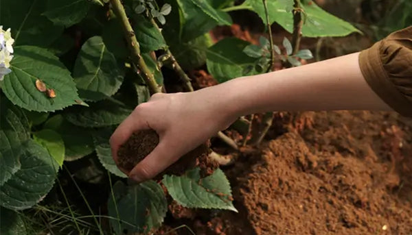Empty dry food grounds