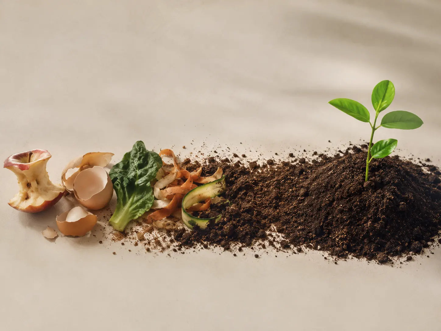 Kitchen scraps and methane illustration