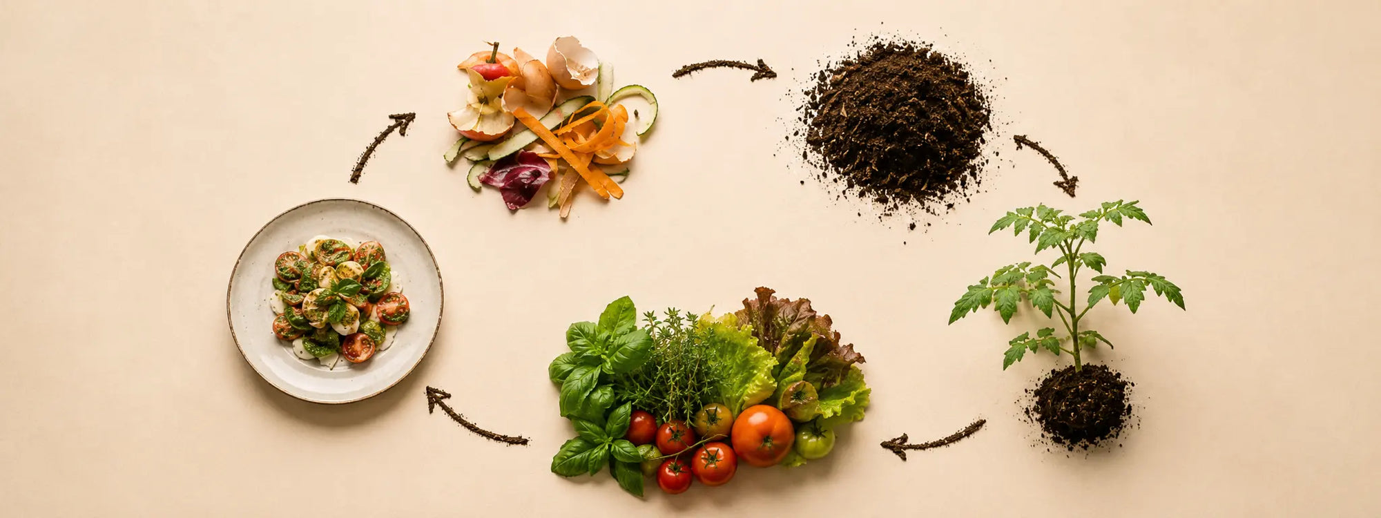 Circular compost loop illustration
